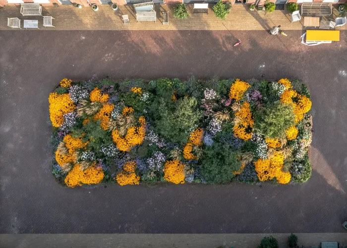 SpijkerPrins HR-156 copy